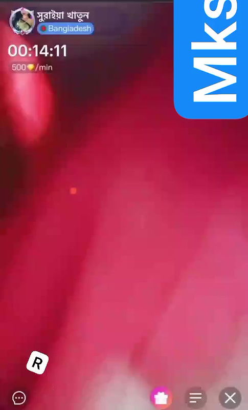 suraia khatun chamet