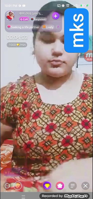 coll den 100% chamet