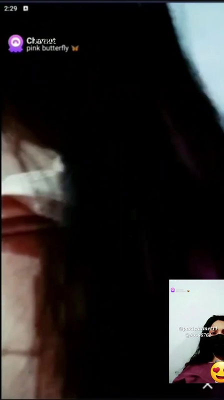 pink butterflychamet