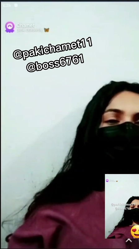 pink butterflychamet