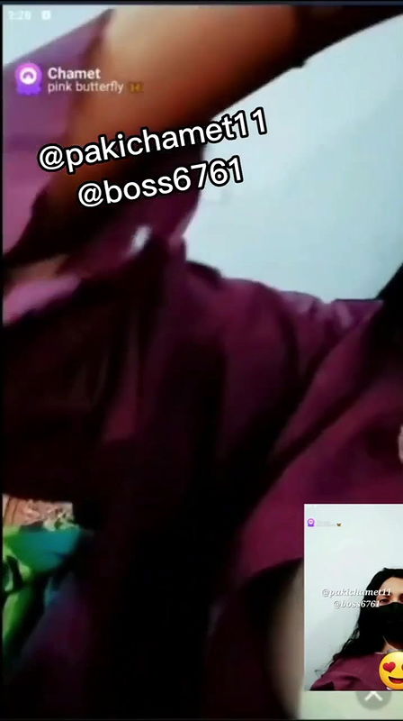 pink butterflychamet