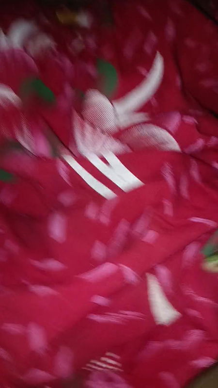 Local Indian Bhabhi Devar Video