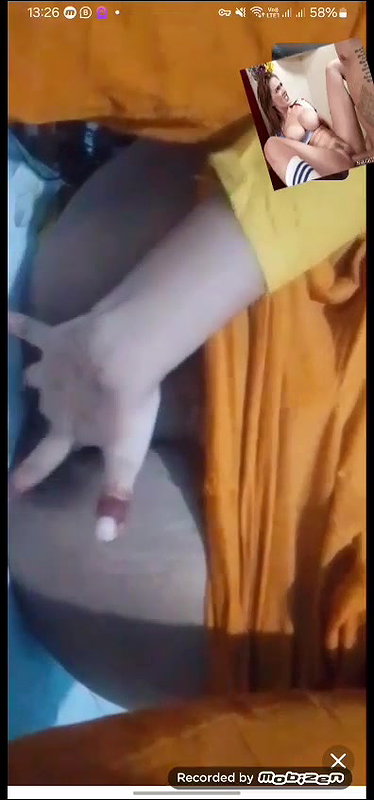 maisa jannat