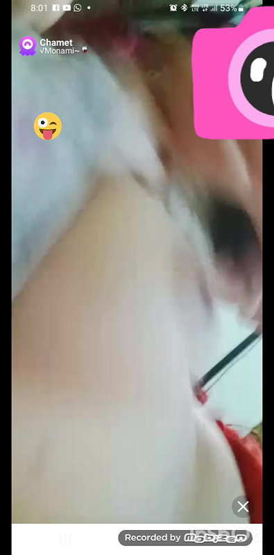 monami 2