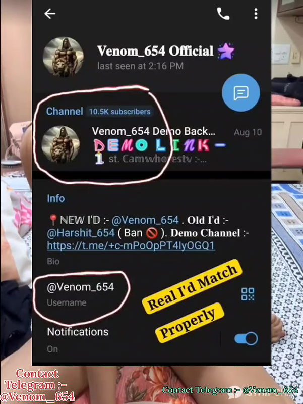 SHIREEN_1100-stripchat-ticket-show