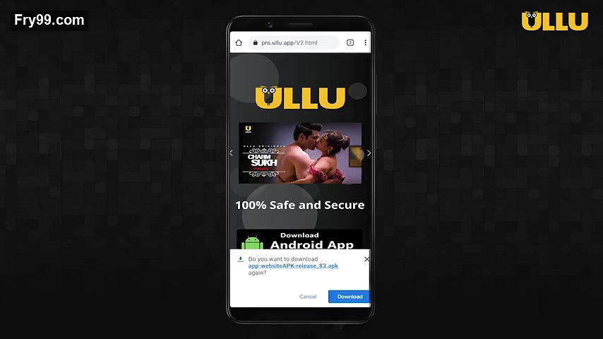 Palang Tod ( Kirayedaar )