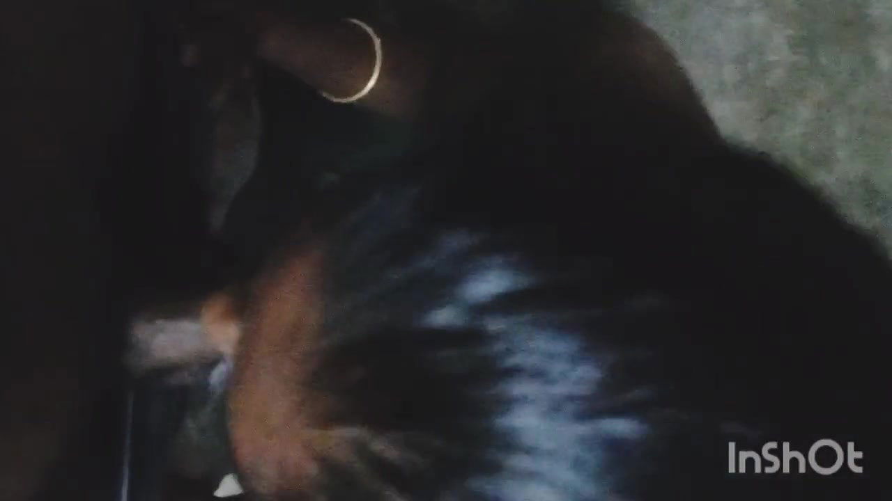 Desi Village Cute Girl Blowjob Cum in Mouth with Bengali Boy