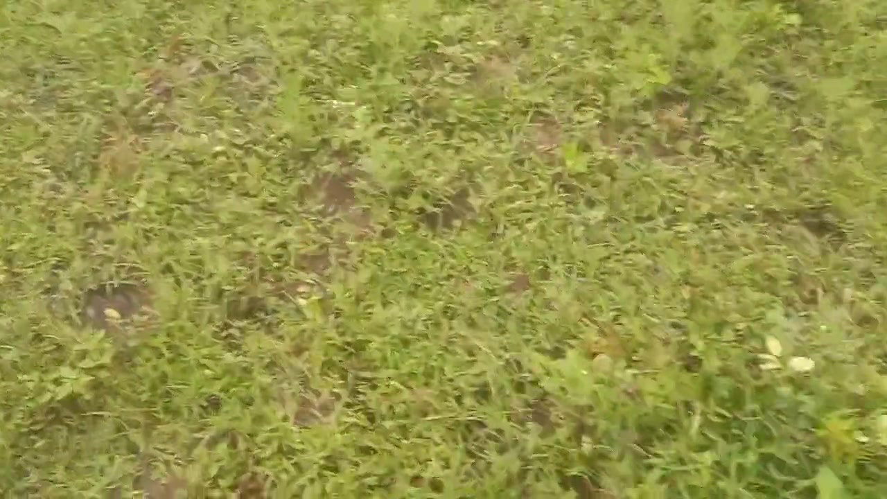 Tamil Wife with Hasband Outoor Sex