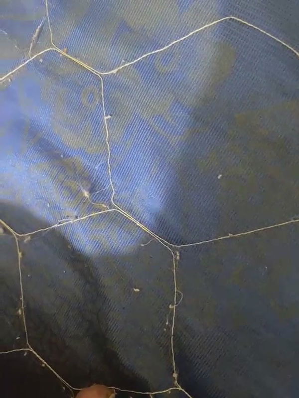 United couple fucking video