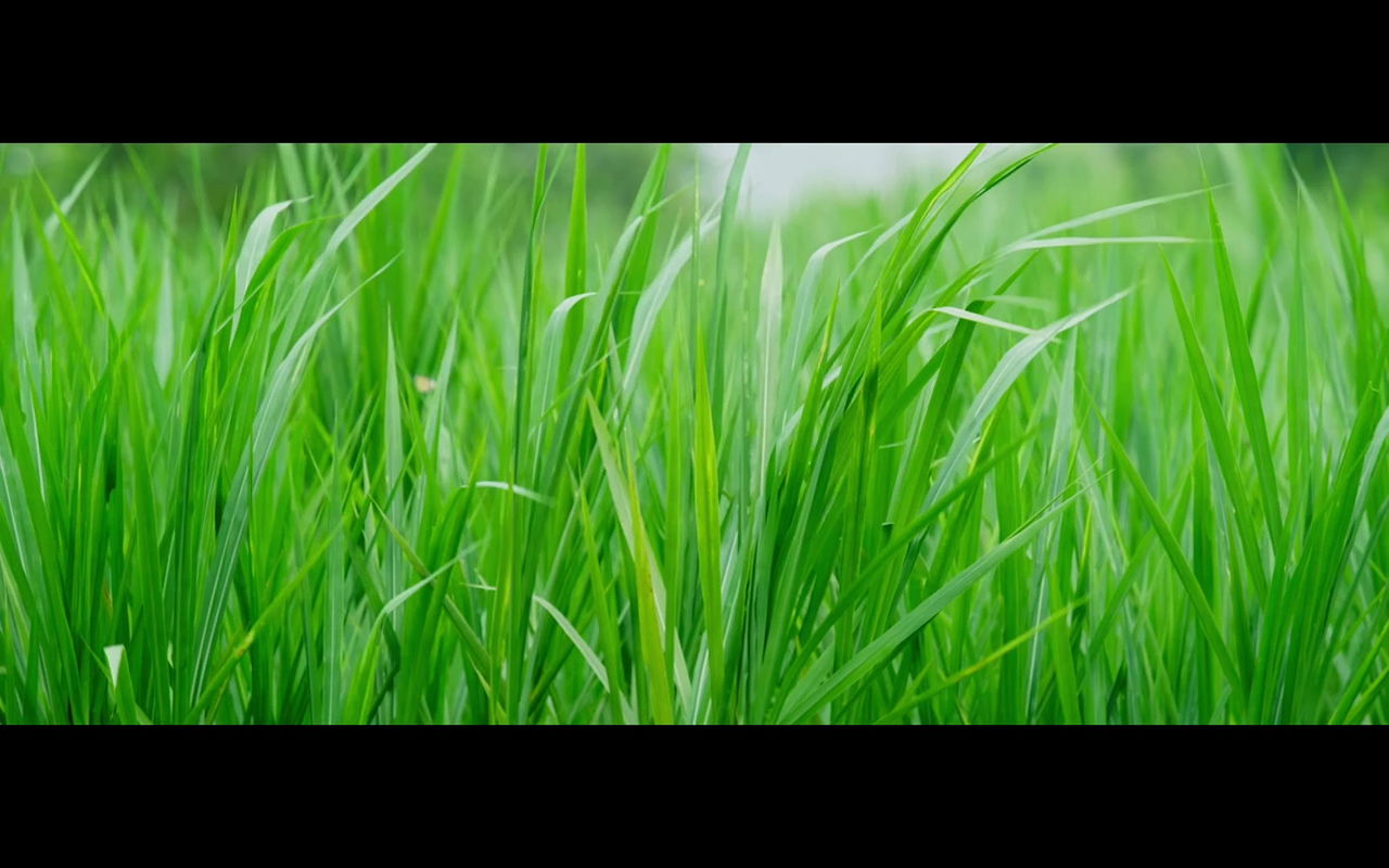 Folk artist Lasya Smiley hot scene – Neck kiss, Lip kissbite