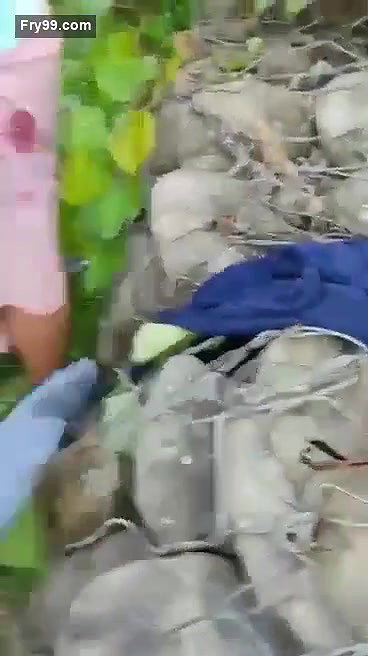 Assamese Bhabhi OutDoor Fucking With Lover Caught