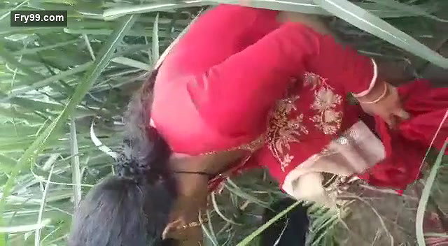 Desi village bhabi caught on fied