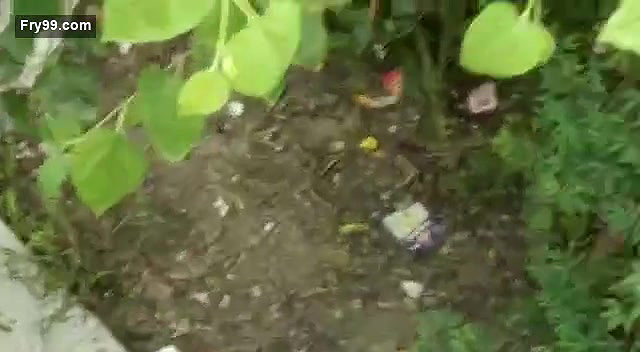 Desi lover fucking outdoor , spy video