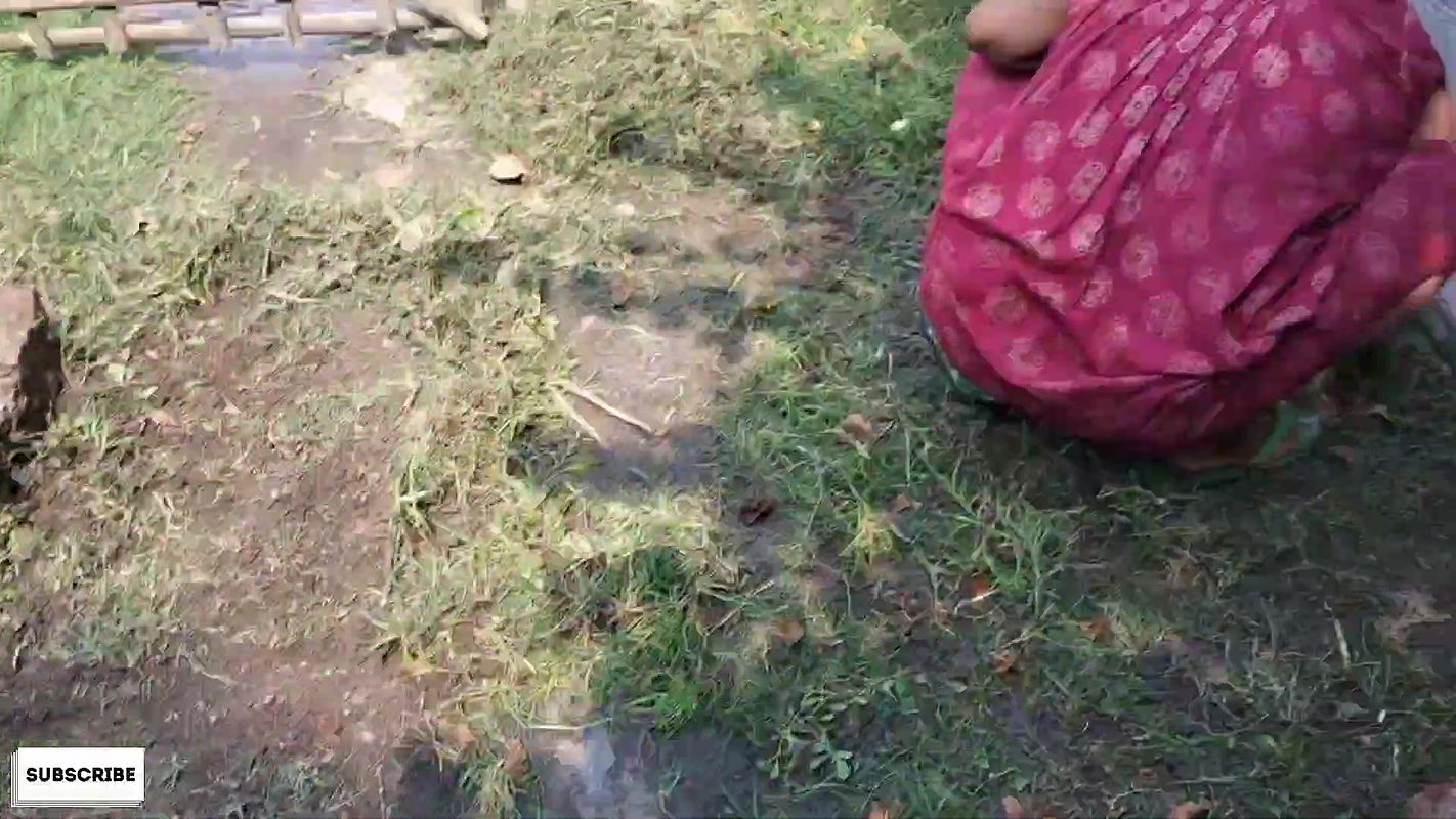 Youtuber mallika bibhas membership video – 37