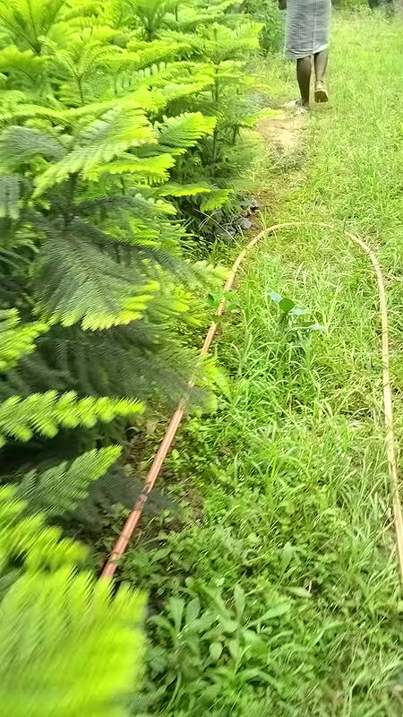 Husband wife full deshi sexy videos