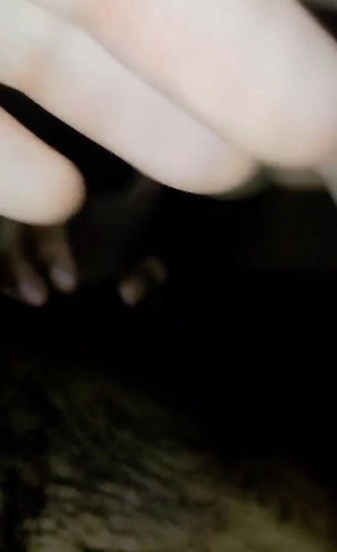 Horny gf taking her boyfriend big dick for blowjob