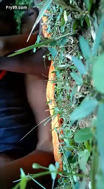 Desi lover fucking  Jungle
