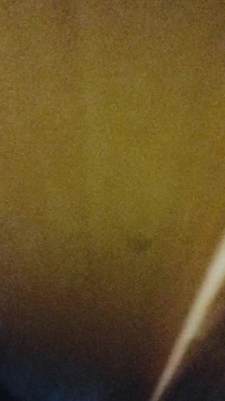 Desi wife taking bath after hardcore fuck.