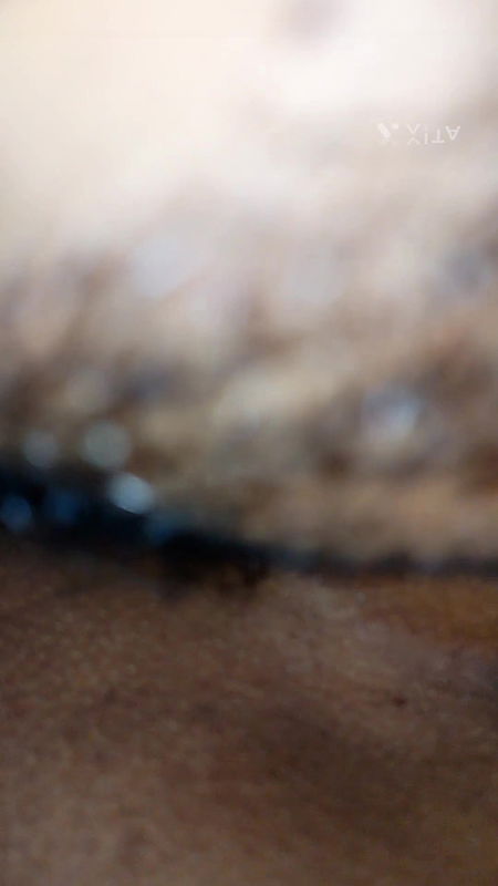 Hardly Sex Secretly Called Home 18+ Sex