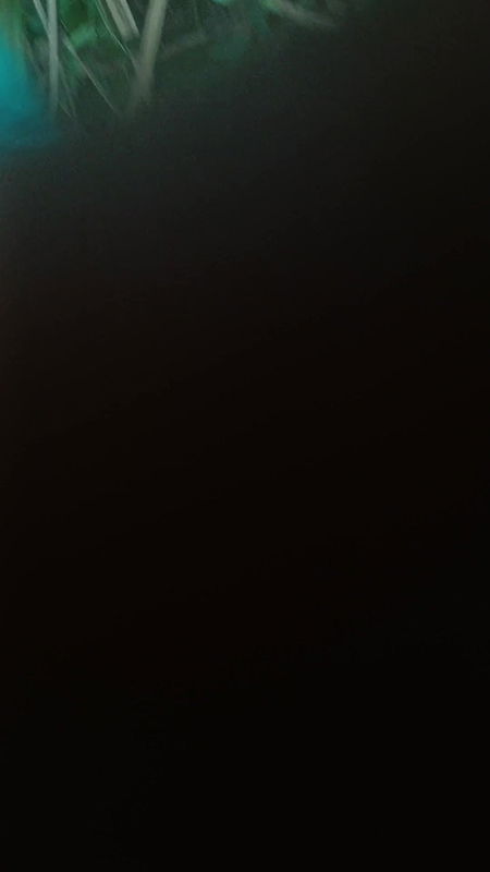 First Time Indian 18 Year Old Girl Sex In Jungal Tight Pussy xxx Video