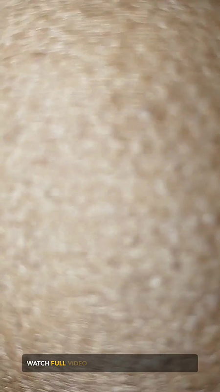 Desi Bhabhi Fucking Hot