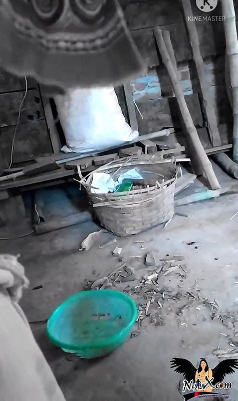 Desi maid enjoy with house owner