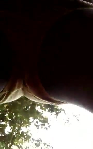 Desi couple fucking outdoor