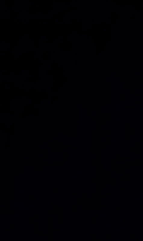 Desi bhabi fucking big dick