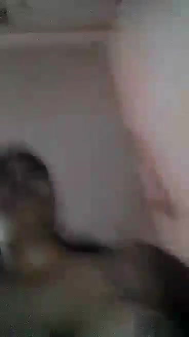 Bangladeshi Bhabhi Shows Her Boobs and Pussy