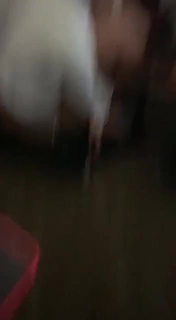 Sexy Punjabi Girl Enjoy with Lover and his Friends with Clear Punjabi Taking Don’t mi