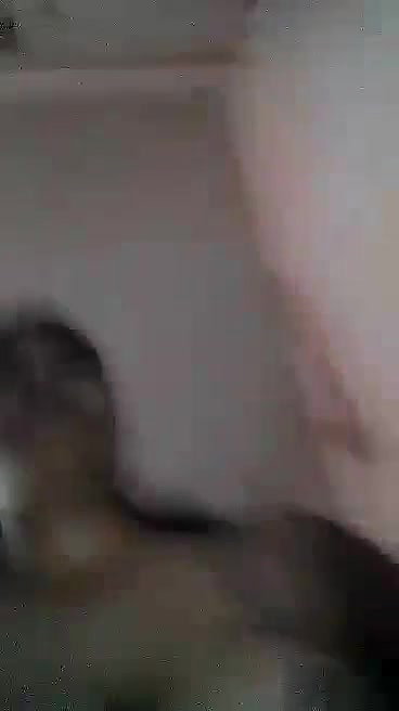 SuperHorny Girl Showing Asshole With Full DirtyTalk DontMiss!!