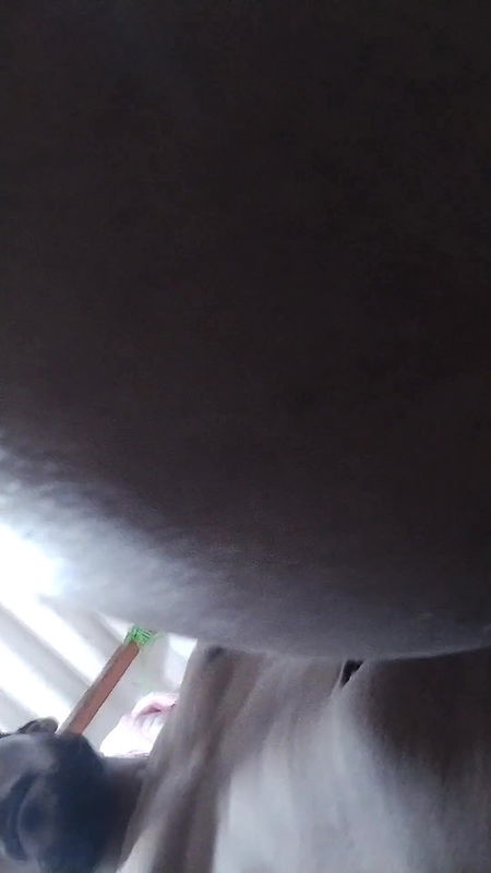 Indian Desi Husband Wife Village Desi Bhabhi