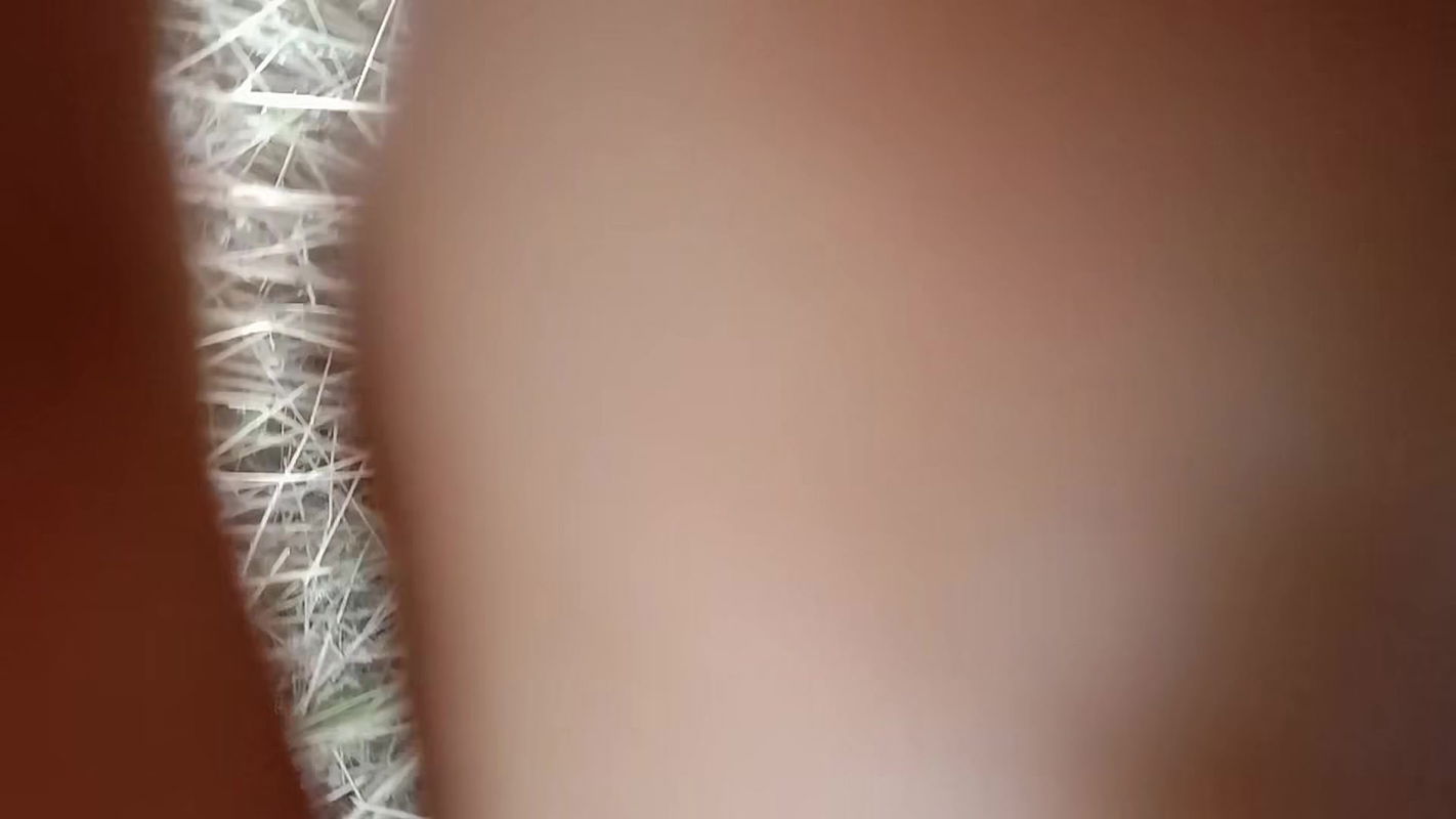 Outdoor fucked with her own younger brother-in-law Desi hardercore ducking