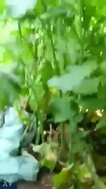 Devar bhabi outdor fucking