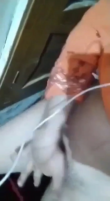 Indian cute girl showing her pussy and boobs on video call