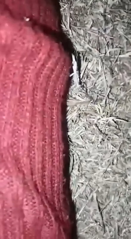 Desi village girl midnight fucking with lover