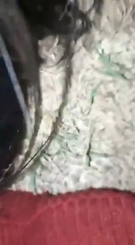 Desi village girl midnight fucking with lover