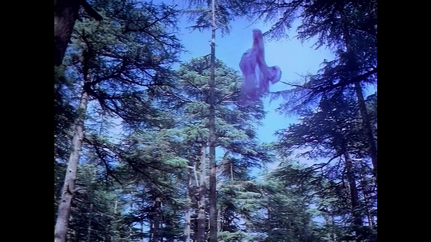 Sridevi Hot Boob Ass Shake Song4-Varumaiyin Niram Sivappu19802