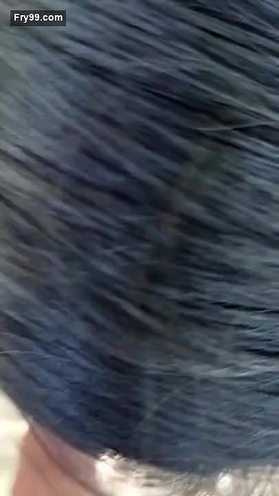 Desi couple fun on jungle