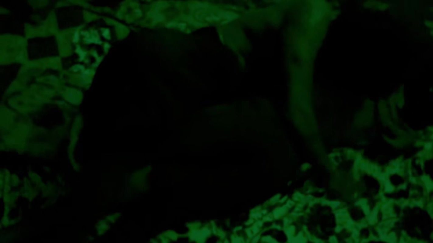 Cuckold Husband Recording Video of Wife Enjoying Hard Sex With Husband’s Friend