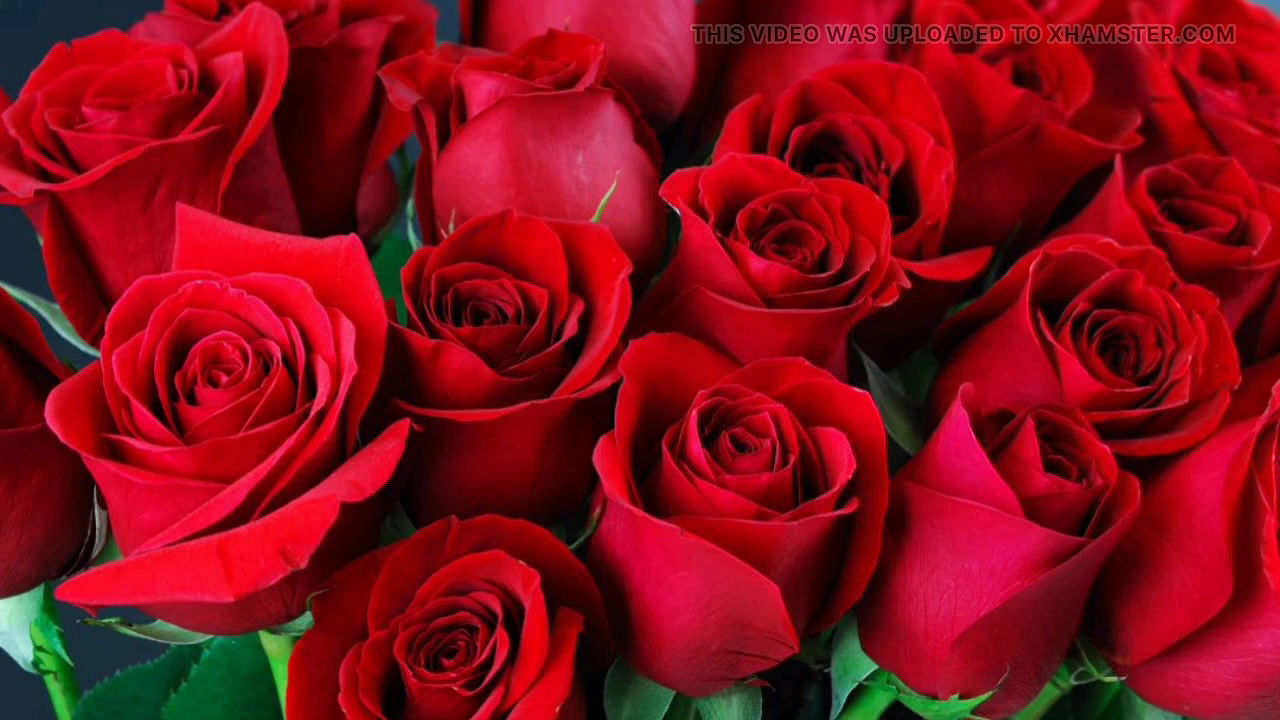 bangla choto golpo beautiful mature saree chachi Sadia Akhter cheating hasband full story in Bangla audio choto golpo