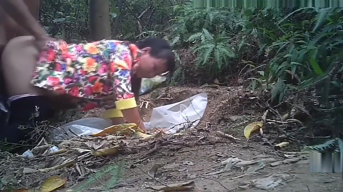 Asian Prostitute Outdoors Doggy Style