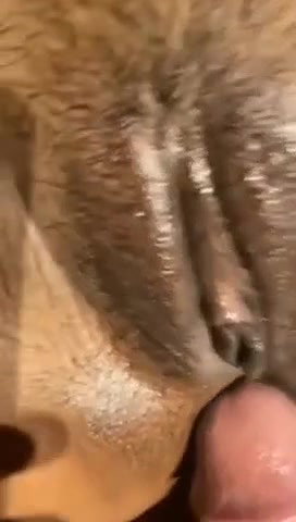 Desi cute huge tits bhabhi bathing fucking and fingring oily pussy many videos merged