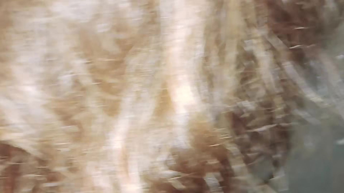 Indian Beautiful Desi Maid Big ass Big Natural Titsud83dudd25