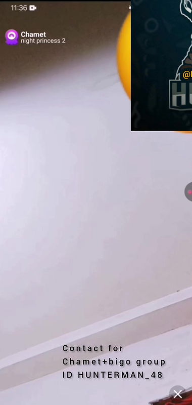 night princess chamet