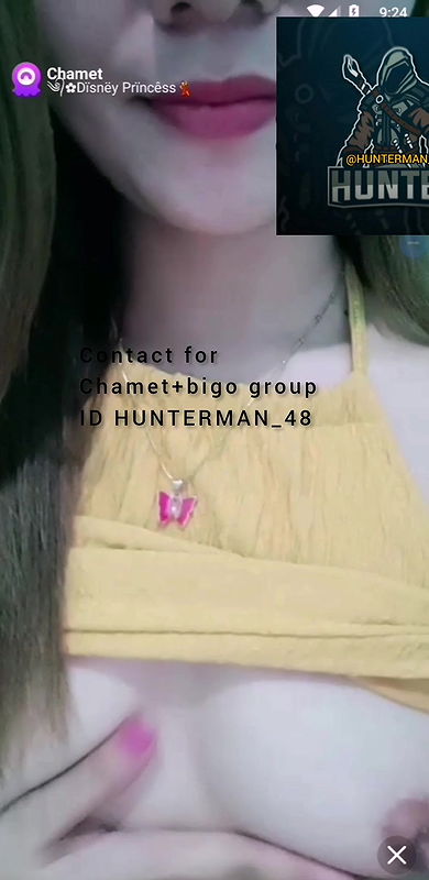 disney prncess chamet