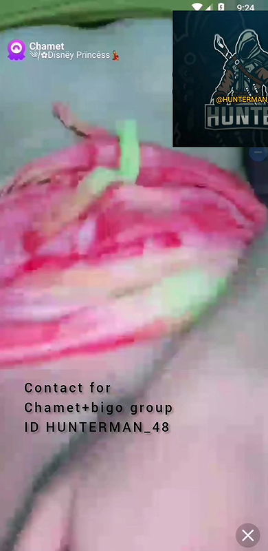 disney prncess chamet