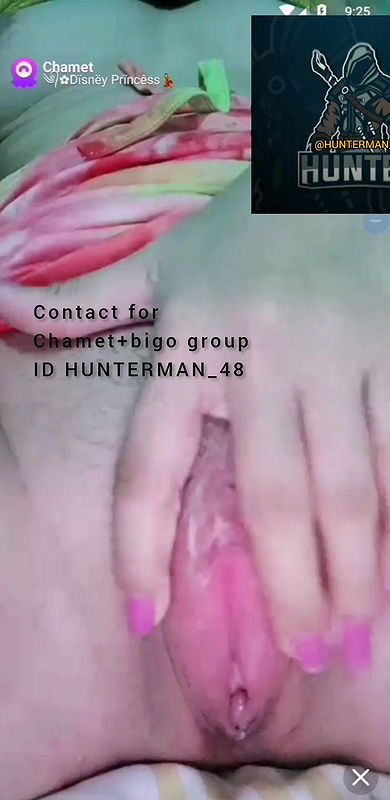 disney prncess chamet