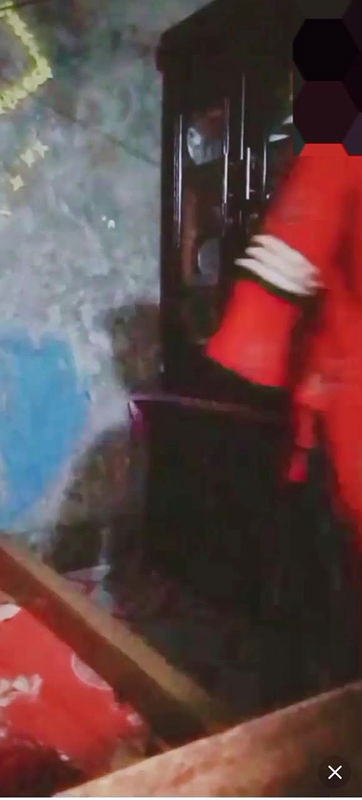 night queen 345 chamet