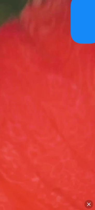 Bengali cute chamet girl 48